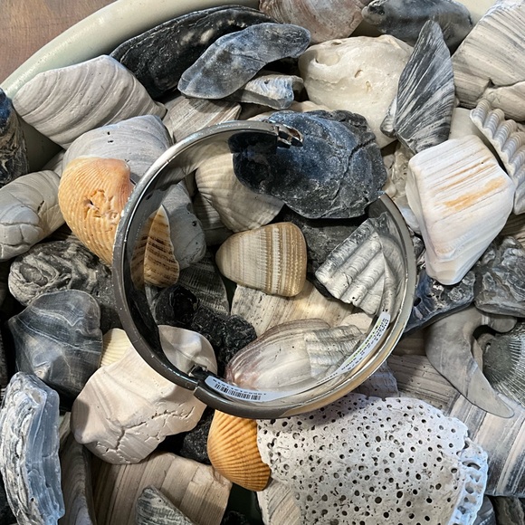 NWT$168 Johnny Was Saba Hinged Bracelet Silver Tone - Picture 5 of 7